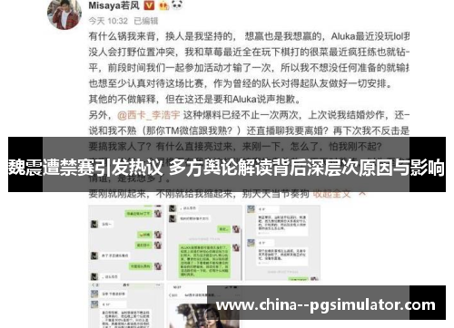 魏震遭禁赛引发热议 多方舆论解读背后深层次原因与影响