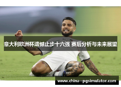 意大利欧洲杯遗憾止步十六强 赛后分析与未来展望