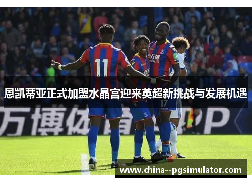 恩凯蒂亚正式加盟水晶宫迎来英超新挑战与发展机遇